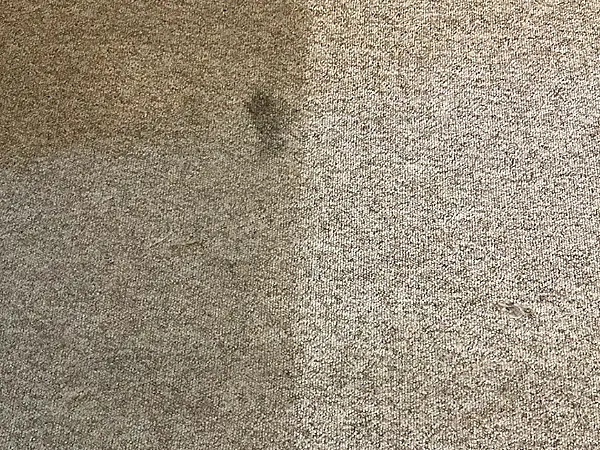 Upholstery before and after cleaning - result 19